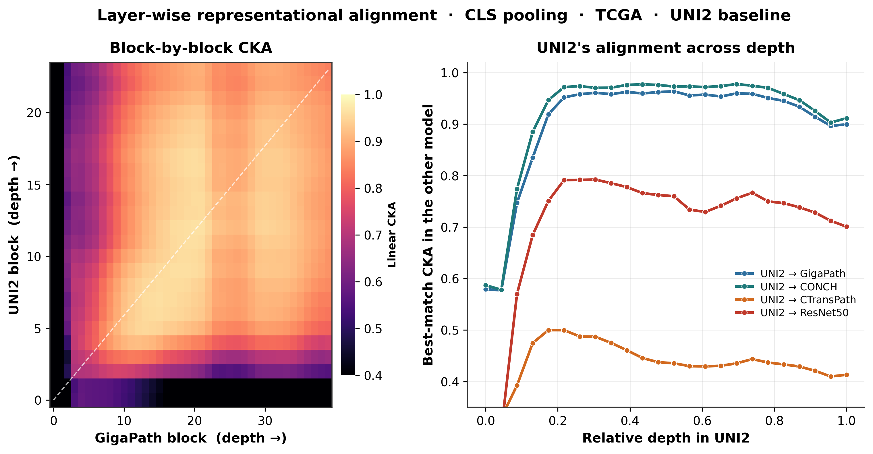 Layerwise representational similarity through encoder depth