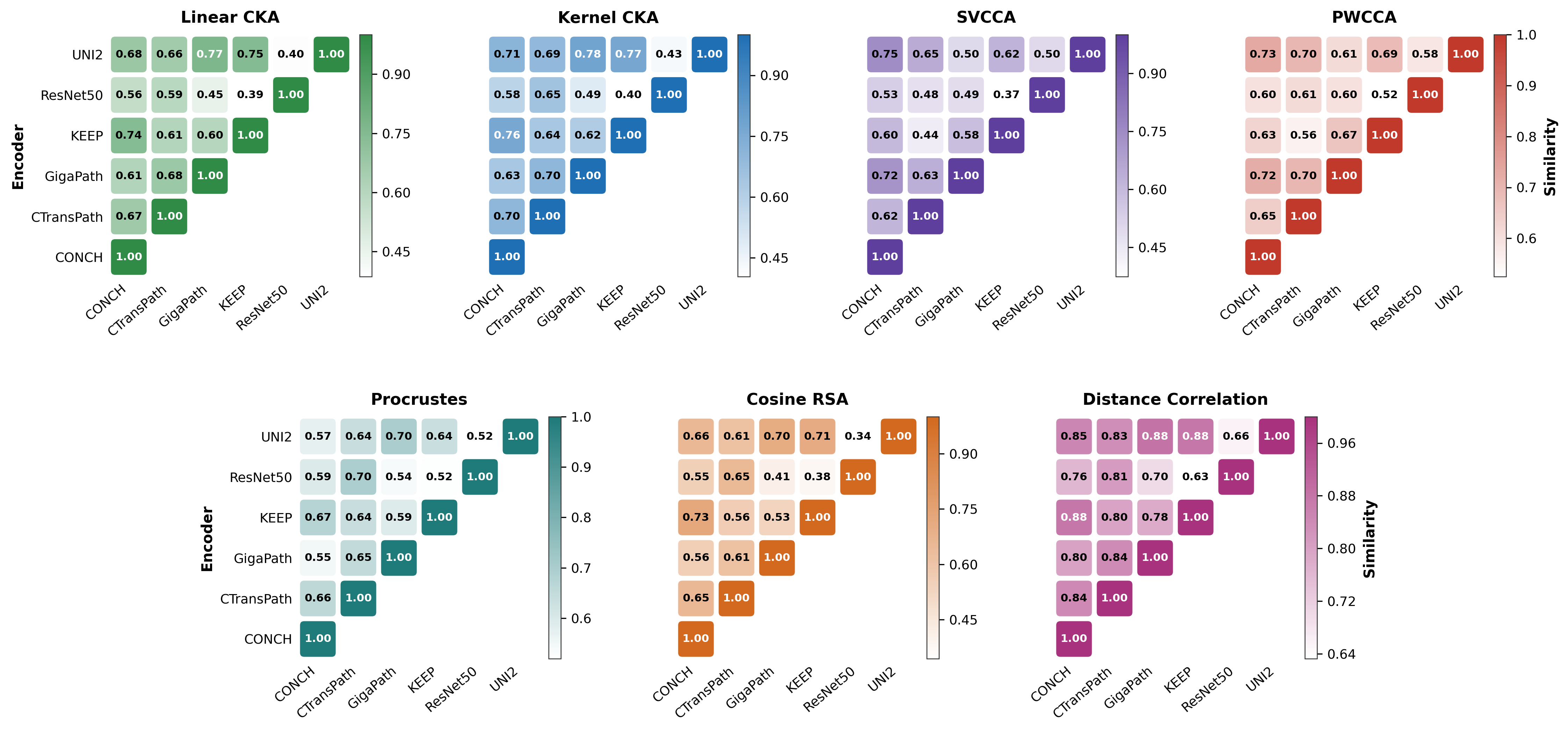 Seven patch-encoder similarity matrices for the CPTAC 10x 256 pixel group