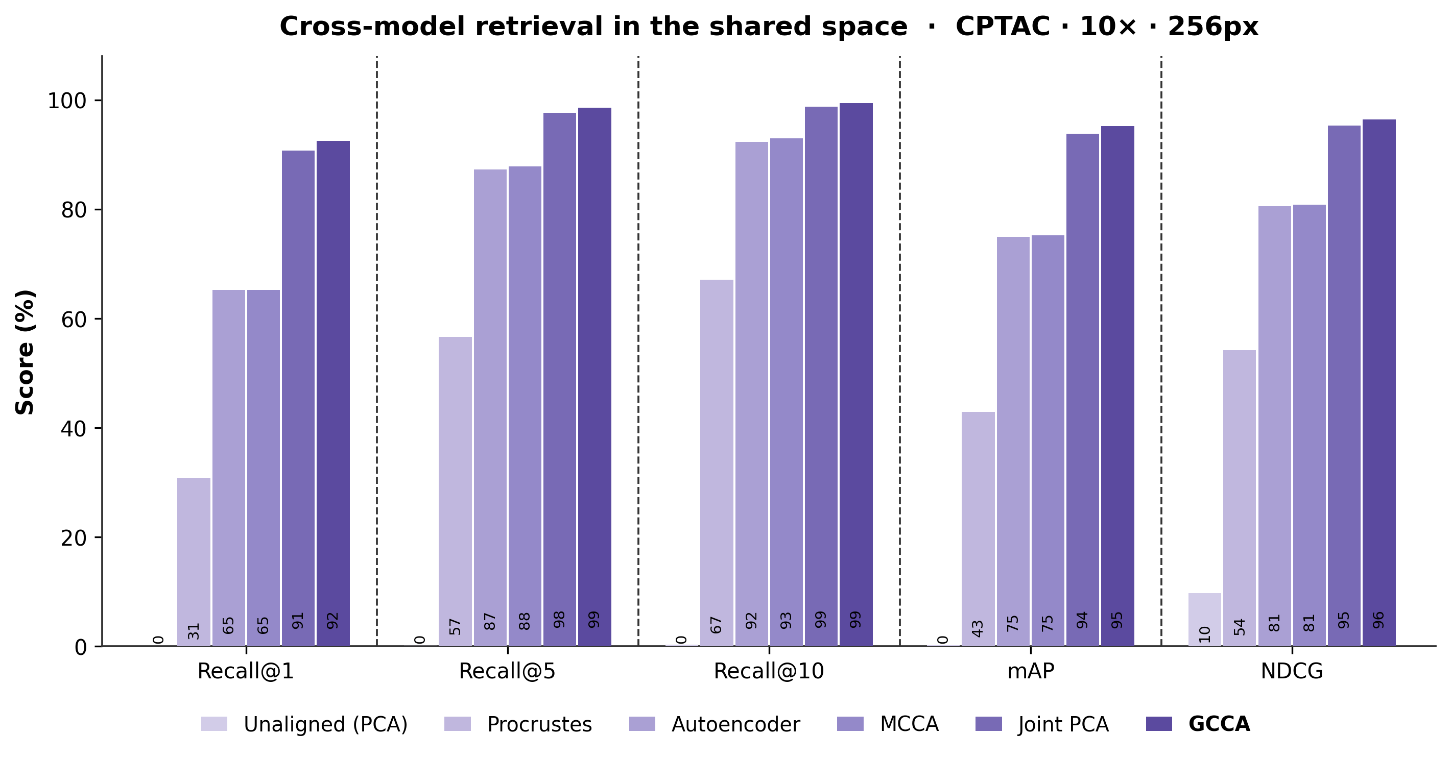 Cross-model identity retrieval metrics on CPTAC