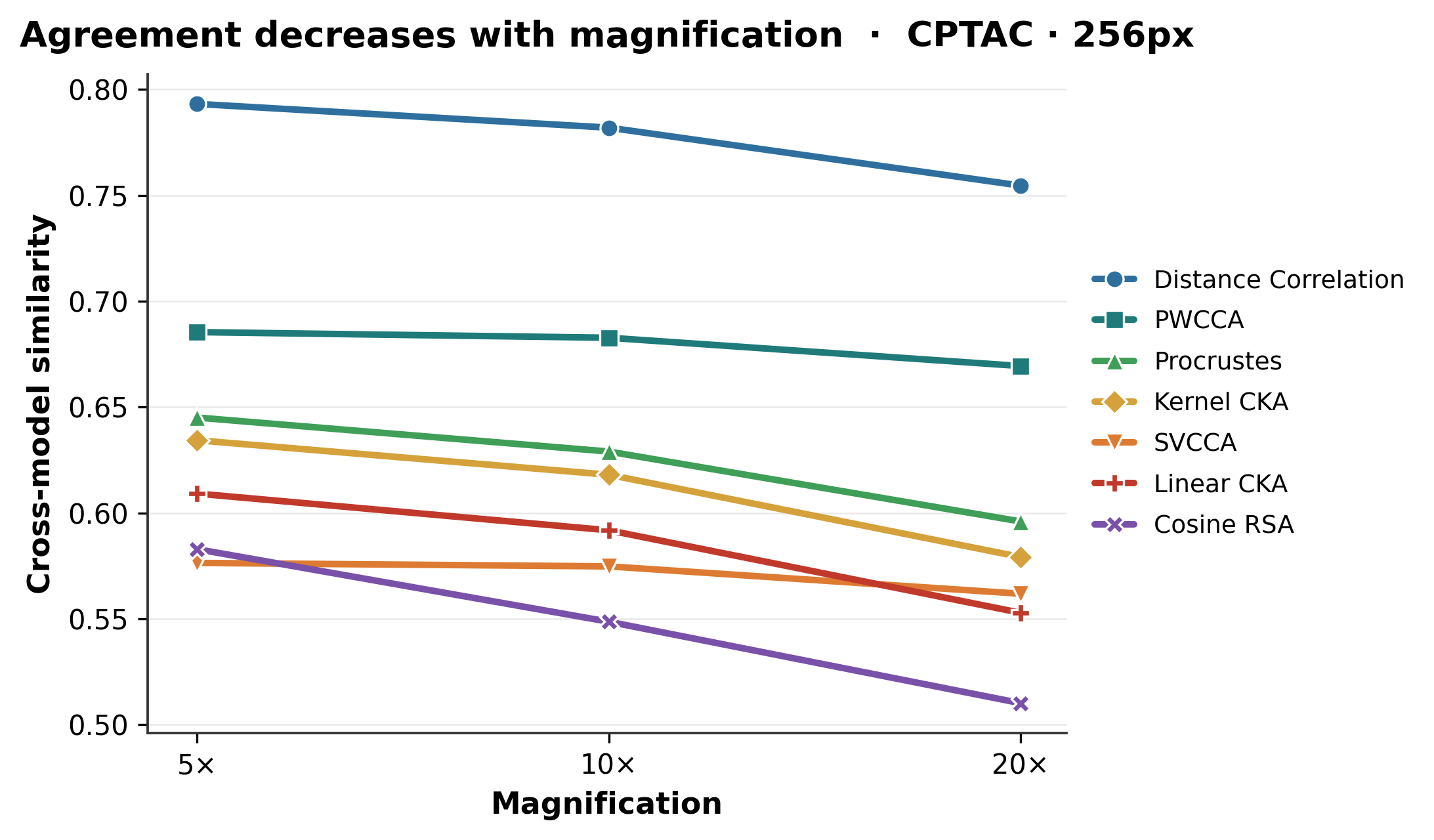 CPTAC cross-model agreement across magnifications