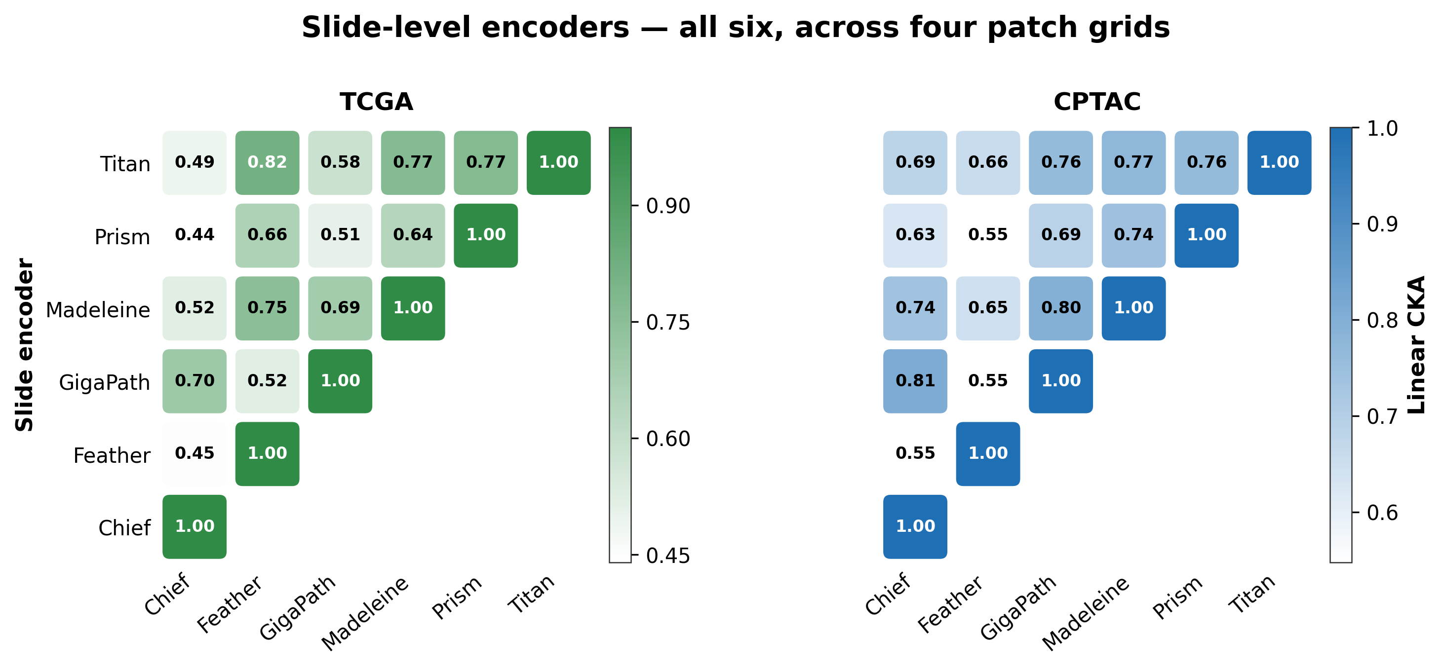 Slide-level encoder linear CKA matrices for TCGA and CPTAC