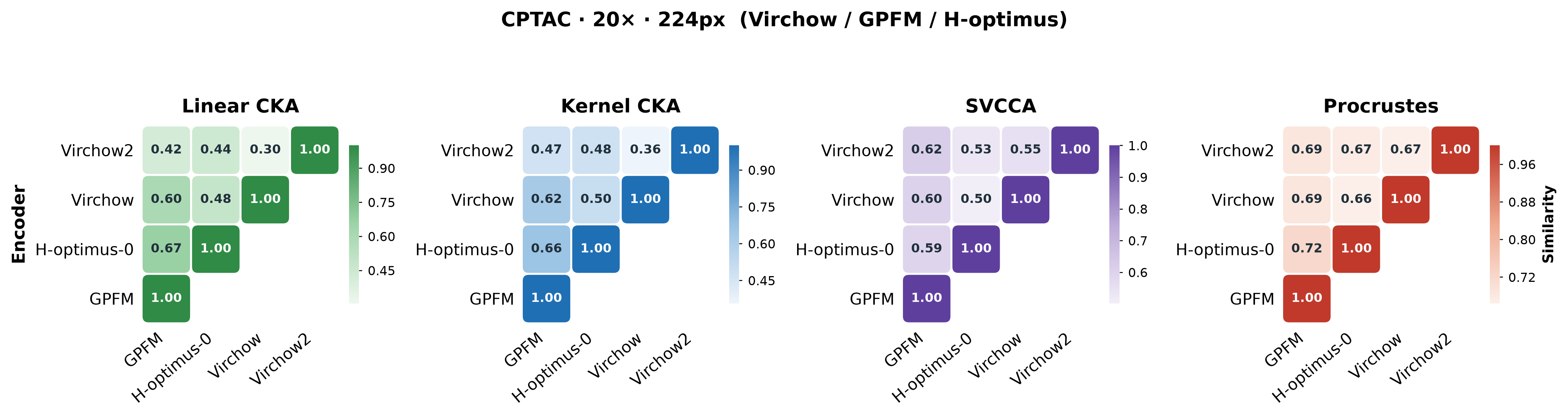 Similarity matrices for GPFM, H-optimus-0, Virchow, and Virchow2